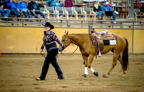 Saddle Creek Ranch Ltd Saddle Creek Ranch Ltd